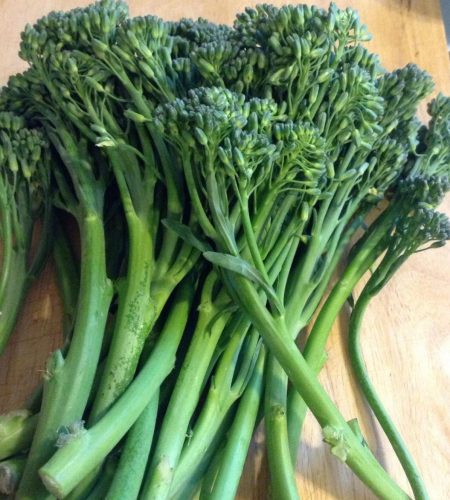 WhatsApp Image 2026-03-26 at 10.12.16 PM