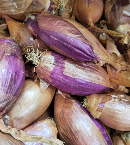 pexels-ivan-drazic-20457695-17822903